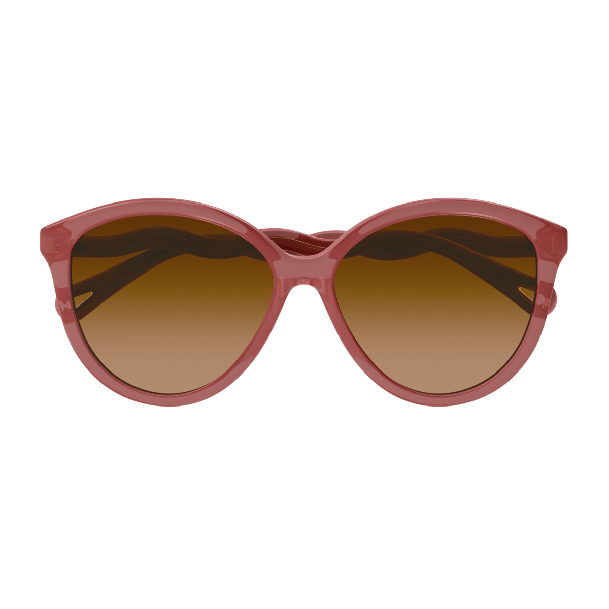 Chloé Women's Rosa Ch0087s Acetate Occhiali Sole