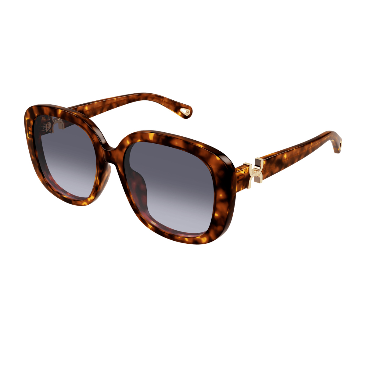 Chloé Women's Havana Ch0303sk Marcie-Linea 002 Violet Recycled Acetate Occhiali Da Sole