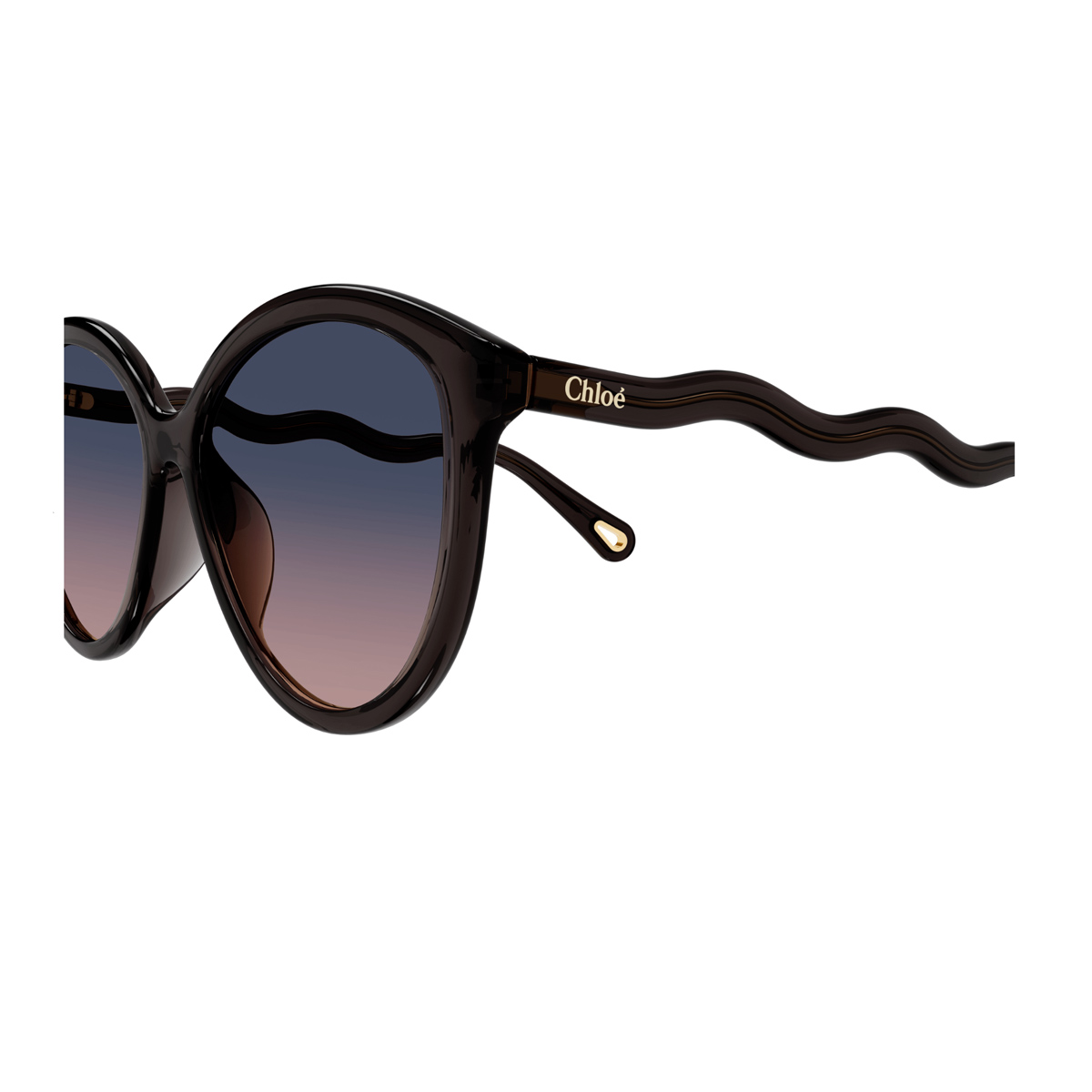 Chloé Women's Grigio Ch0087s Acetate Occhiali Sole
