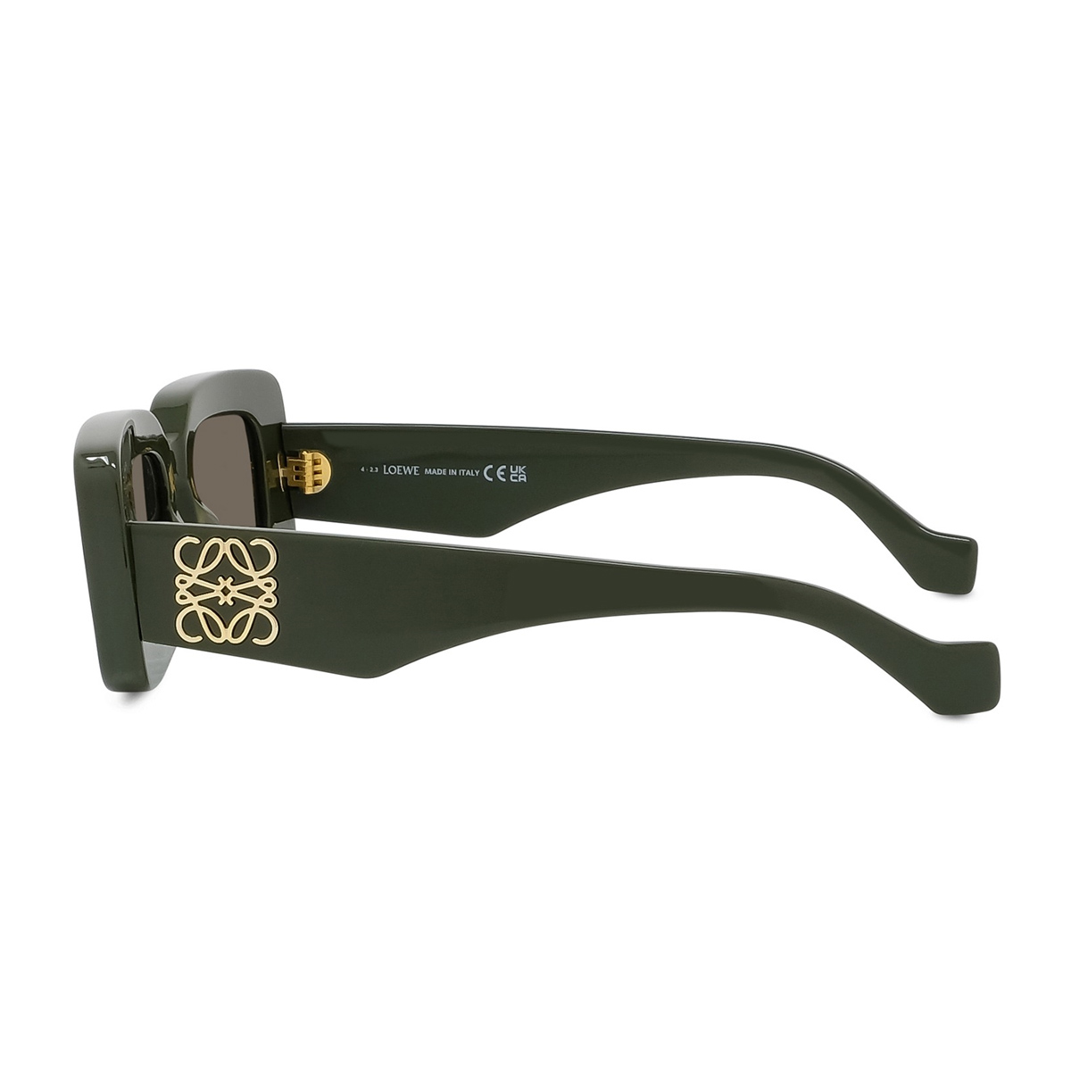 Loewe Women's Verde Lw40101i Anagram 95E Lucido Acetate Occhiali Da Sole