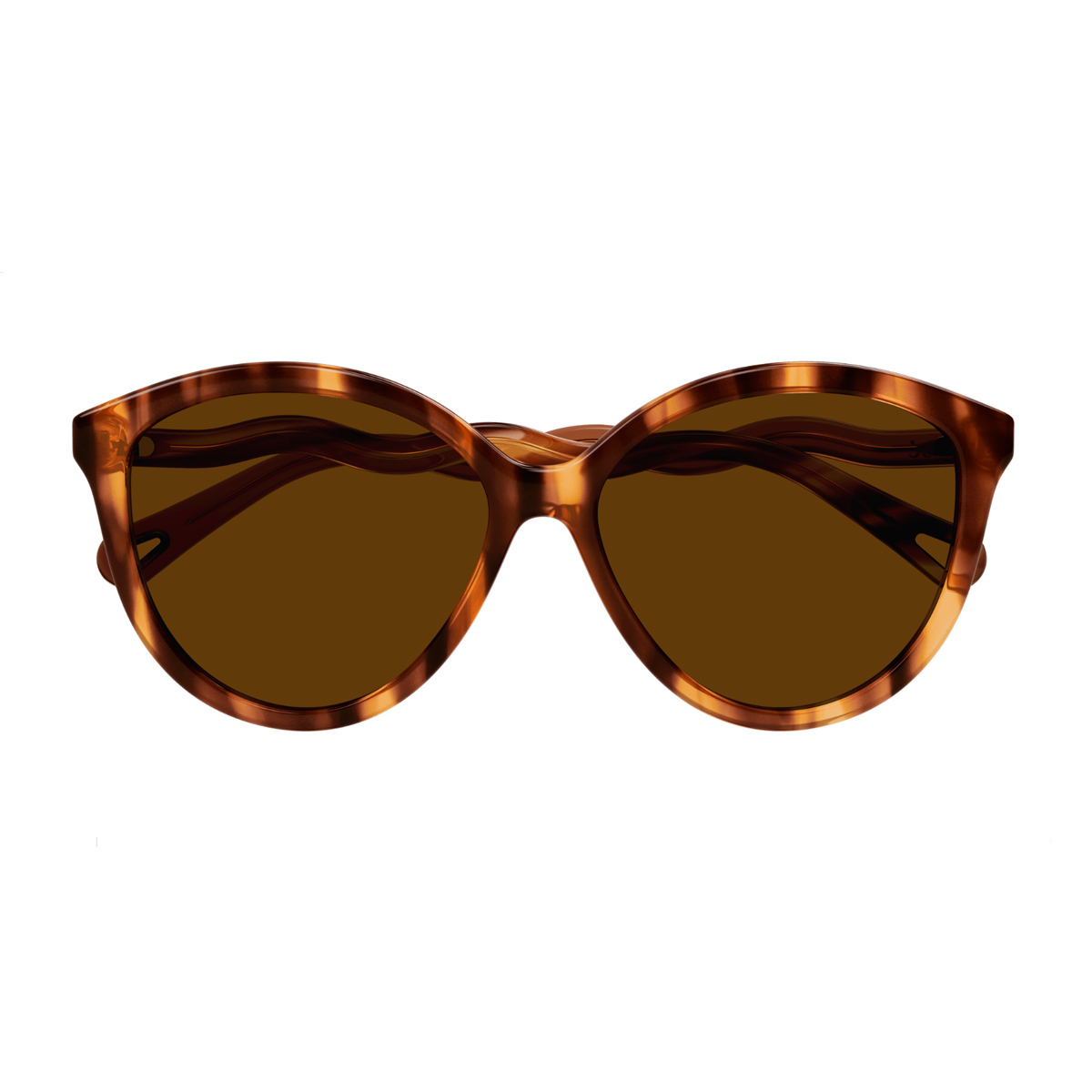 Chloé Women's Marrone Ch0087s Celluloid Occhiali Sole