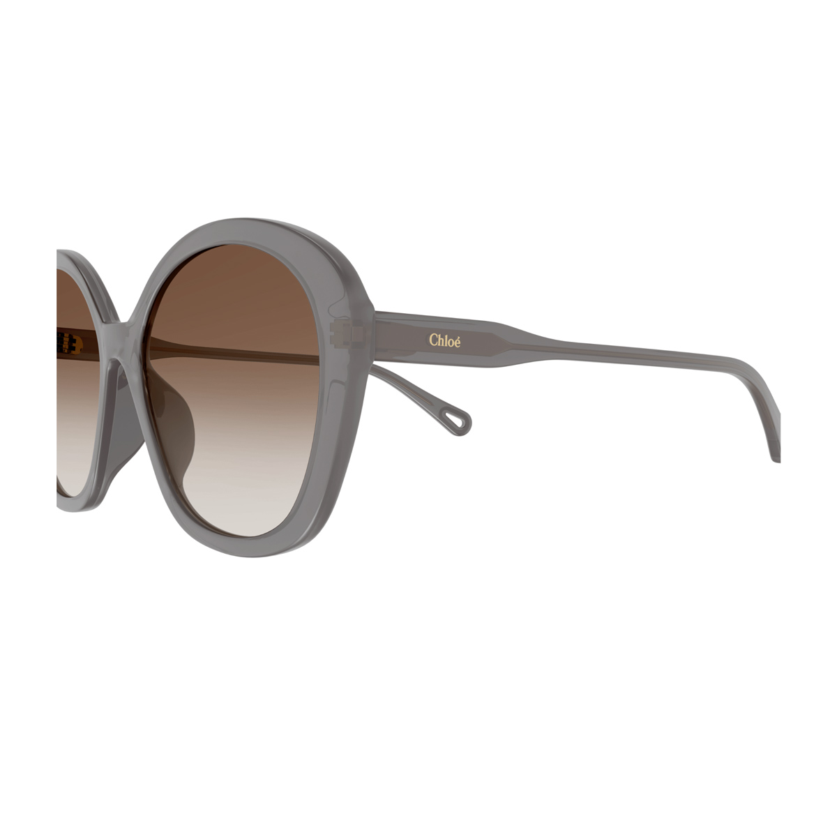 Chloé Women's Grigio Ch0081s Celluloid Occhiali Sole