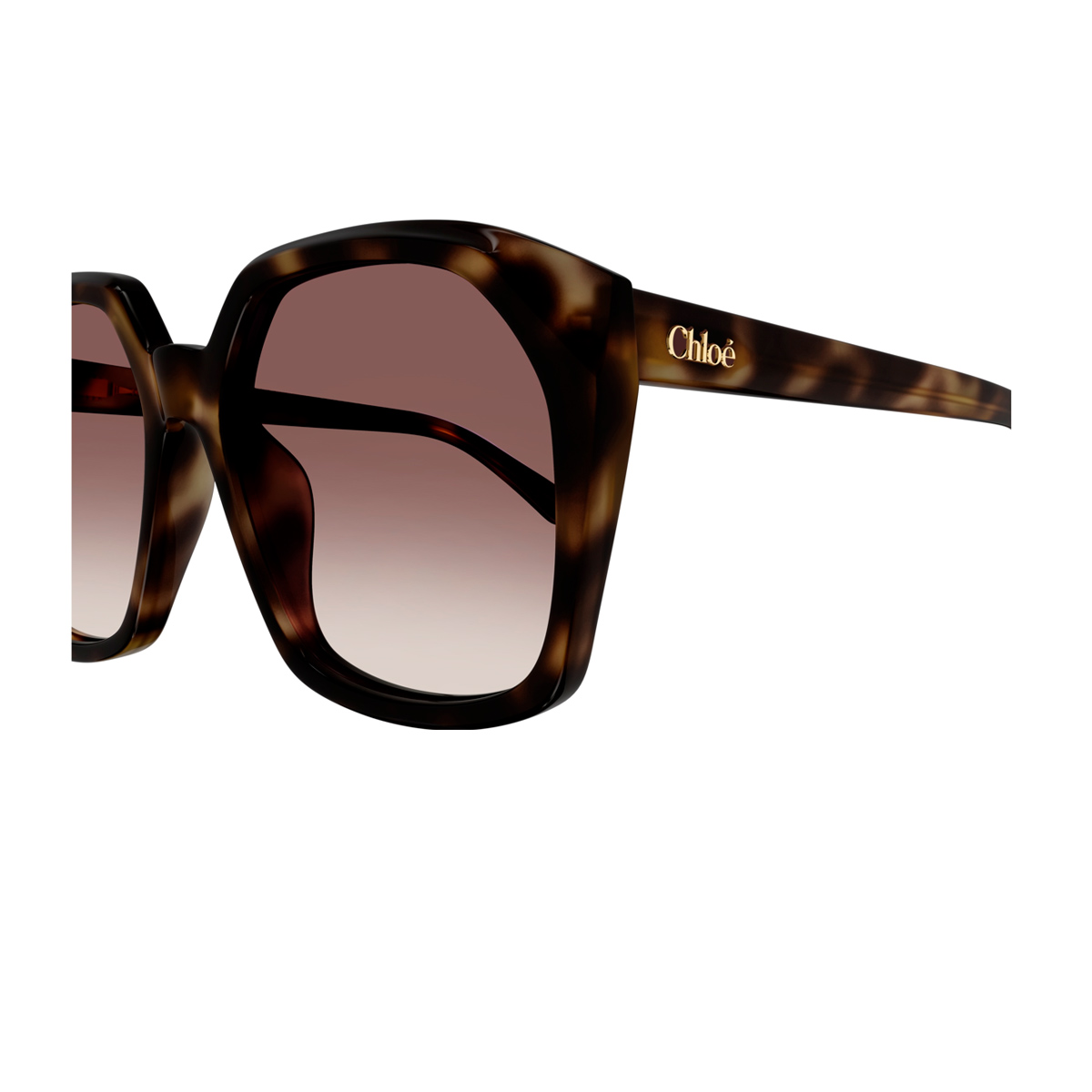 Chloé Women's Marrone Ch0280s Linea 006 Havana Red Acetate Occhiali Da Sole