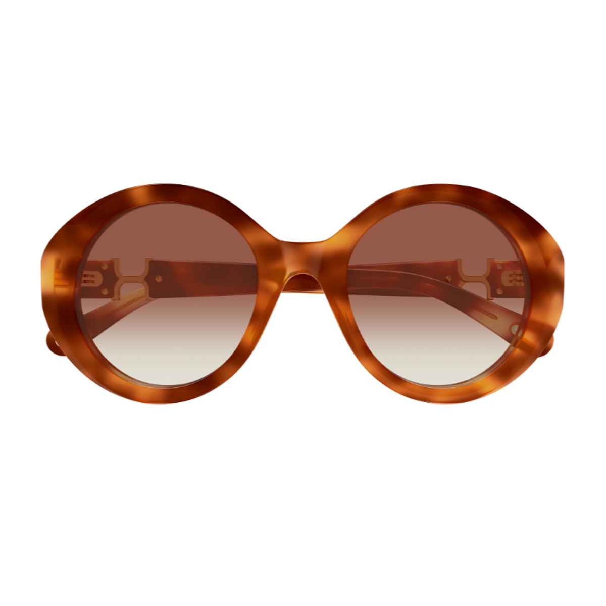 Chloé Women's Havana Ch0332s Marcie- Linea 003 Brown Recycled Acetate Occhiali Da Sole
