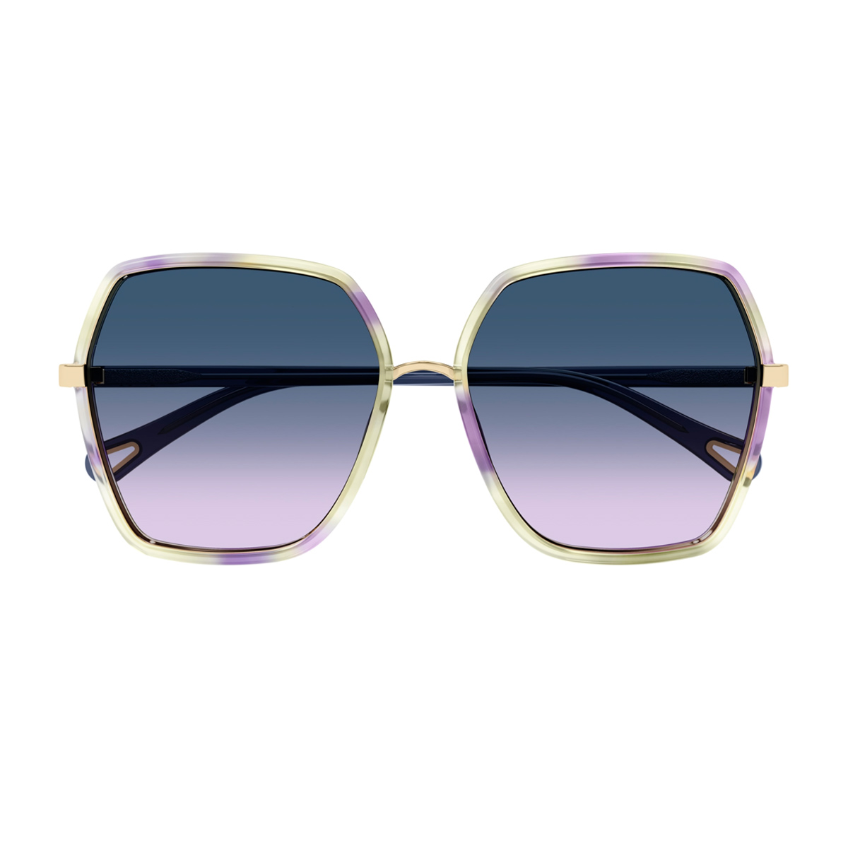 Chloé Women's Multicolore Ch0262s Linea 002 Havana Blue Bio-Injected Occhiali Da Sole