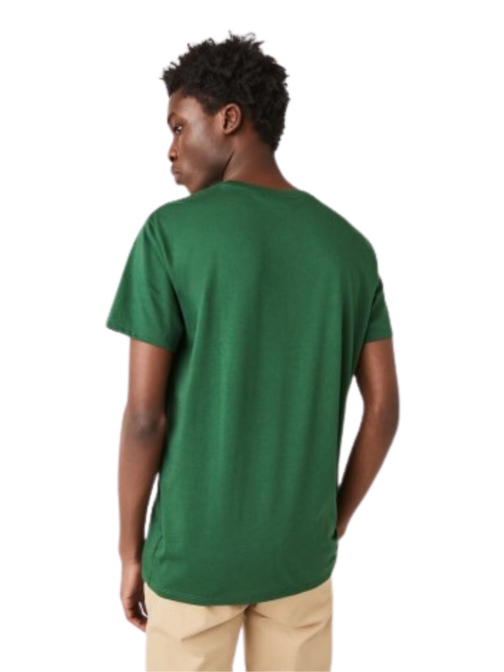 T-shirt Lacoste dal design comodo in cotone Pima di alta qualità colore Verde - Foto 4 di 4