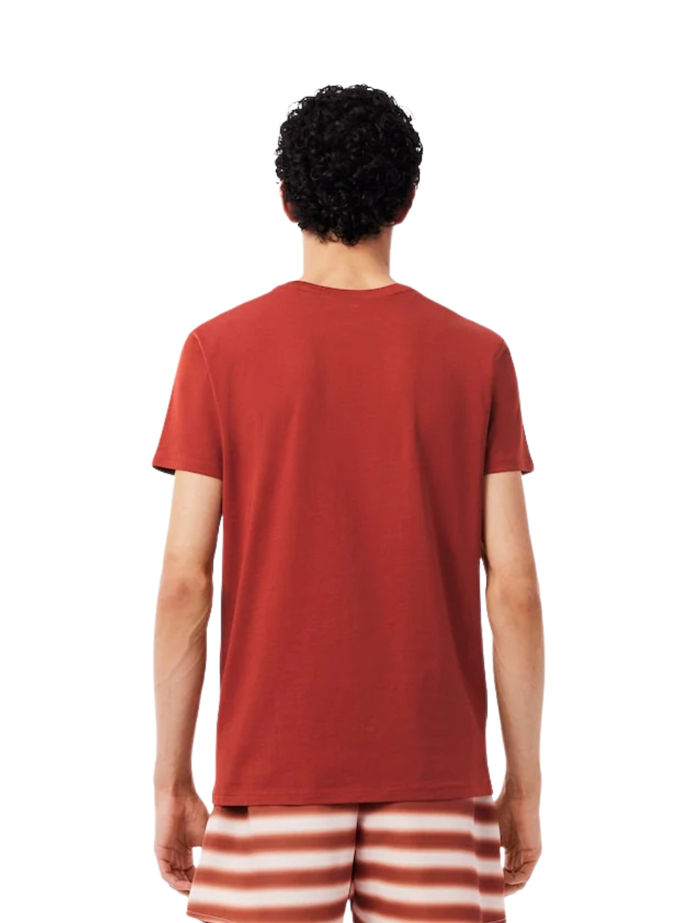 T-shirt Lacoste da uomo, in cotone, vestibilità regular, colore Rame, modello... - Imagen 4 de 4