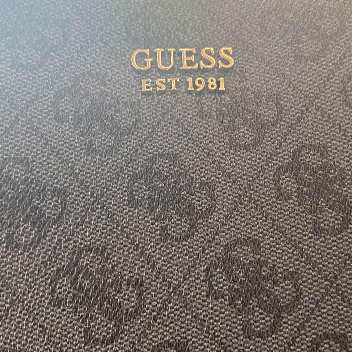 guess est 1981 borsa