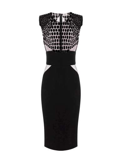 Elisabetta Franchi Dresses | Elegant women's dresses